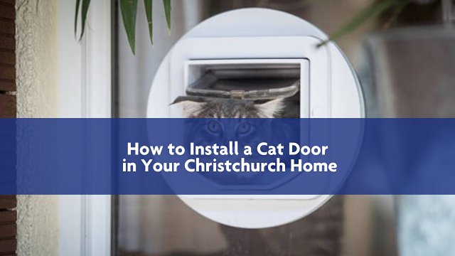 Cat coming through a cat door installed in a glass door