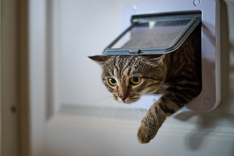 Commercial Glass  Services